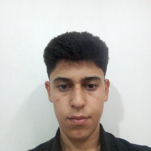 محمدکمیل حاجی لو