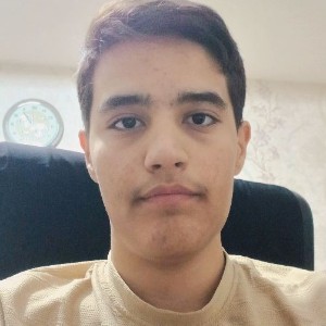 حسین مهدی شاهمیرزالو