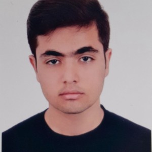 محمدمتین فروغی