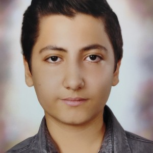 محمدسینا زنگارکی